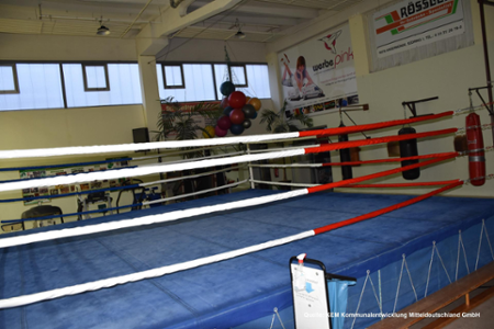 Boxring